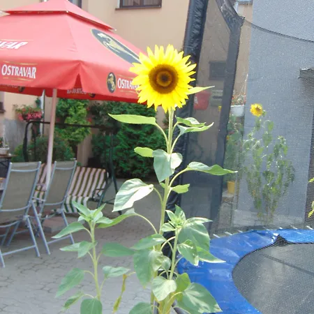 Isora Отель Острава